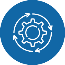 management cycle